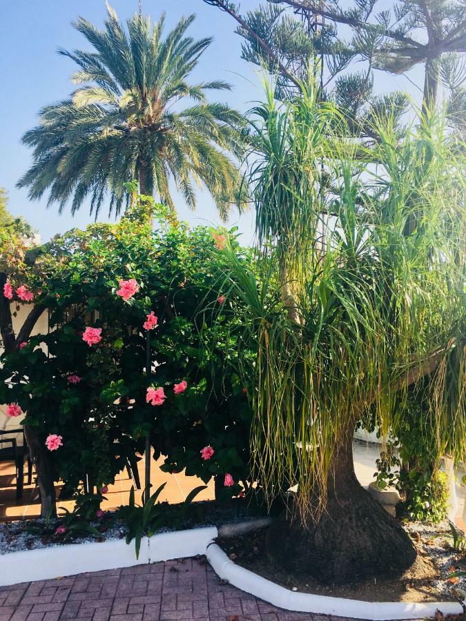 El Cortijo De Miguel Villa Nerja Buitenkant foto